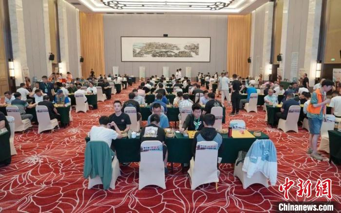 沧州业余棋手马天放七连胜夺冠 北部赛区名手组